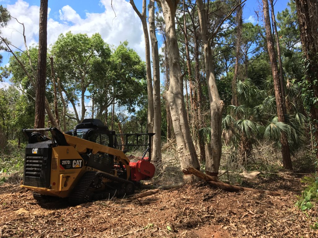 Land clearing option in Naples, Florida- forestry mulching by Signature Tree Care