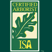 Naples Tree Service with ISA Certified Arborist | Signature Tree Care