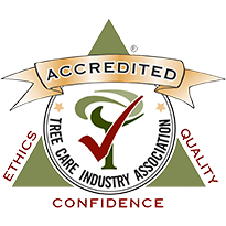 TCIA Accredited