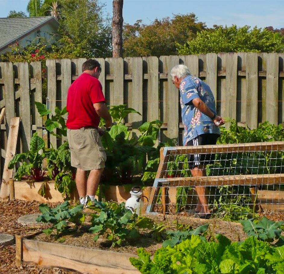 Vegetable Gardening & Greenhouse Installation Service | Signature Tree Care in Naples and Ft. Myers, FL